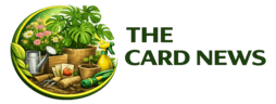 TheCardNews